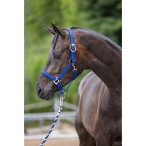Licol mustang double réglage bleu roi / noir taille 1, Animaux & Accessoires, Chevaux & Poneys | Autres trucs de cheval