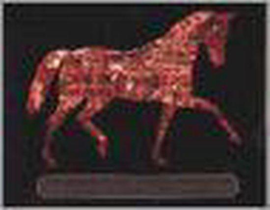 Het paard in de twintigste eeuw 9789076574011, Boeken, Hobby en Vrije tijd, Gelezen, Verzenden