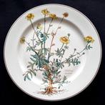 Villeroy & Boch - Tafelservies - 1e keuze! Botanica 4 x