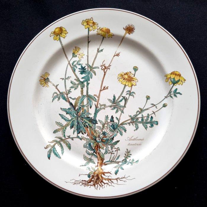 Villeroy & Boch - Tafelservies - 1e keuze! Botanica 4 x, Antiquités & Art, Antiquités | Meubles | Tables