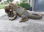 Beeld, beautiful image of a Cuban rock iguana - 21 cm -, Antiek en Kunst