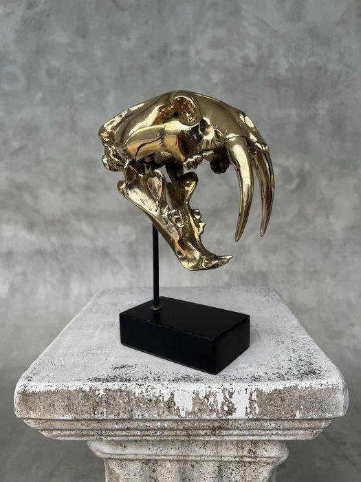Beeld, NO RESERVE PRICE - Saber Tooth Tiger Skull - Smilodon, Antiek en Kunst, Curiosa en Brocante