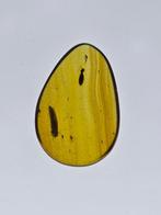 Birmese barnsteen - Barnsteen (Zonder Minimumprijs)