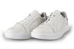 Timberland Sneakers in maat 46 Wit | 10% extra korting, Kleding | Heren, Schoenen, Sneakers, Wit, Zo goed als nieuw, Verzenden
