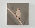 Matthieu van Riel - Singing Bird