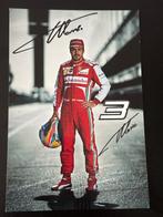 Fernando Alonso - Fancard di Fernando Alonso del 2013 con