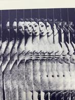 Jiri Kolar (1914-2002) - ohne Titel (Venus)