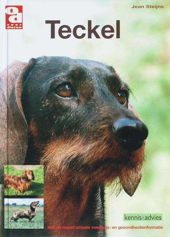 Teckel / Over Dieren 9789058216045 J. Steijns, Boeken, Hobby en Vrije tijd, Zo goed als nieuw, Verzenden