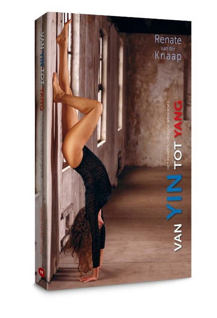 Van Yin tot Yang 9789493171411 Renate Van der Knaap, Boeken, Gezondheid, Dieet en Voeding, Zo goed als nieuw, Verzenden