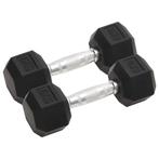 vidaXL Halters 2 st 12 kg gietijzer, Sport en Fitness, Verzenden, Nieuw