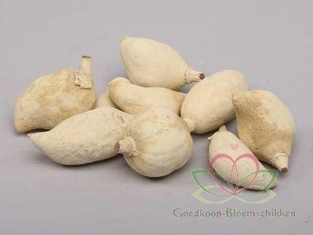 Baobab noten Light ca. 500 gram, Huis en Inrichting, Woonaccessoires | Kunstplanten en Kunstbloemen, Nieuw