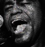 David Law - Crypto James Brown