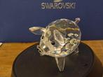 Swarovski - Beeldje, Pig large - 011846 - 0 cm - Kristal, Antiek en Kunst, Curiosa en Brocante