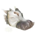 Agaat geode draken schedel 517 gram, Handtassen en Accessoires, Nieuw, Verzenden