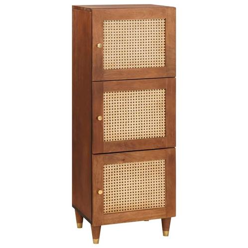 vidaXL Hoge kast Bruin 40 x 33.5 x 110 cm Riet en massief, Huis en Inrichting, Kasten | Dressoirs, Nieuw, Verzenden