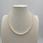 Zonder minimumprijs - Halsketting Zilver Parel - Akoya 7,0, Nieuw