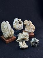 Lotto Minerali dell Emilia-Romagna Kristallen op matrix-