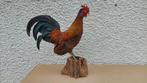 Huismannel Taxidermie volledige montage - Gallus gallus, Collections