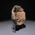 Maya Terracotta Hoofdgietvorm. ca. 600 - 900 n.Chr. 6,7 cm
