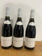 2010 Domaine Leroy - Nuits St. Georges - 3 Flessen (0.75, Collections