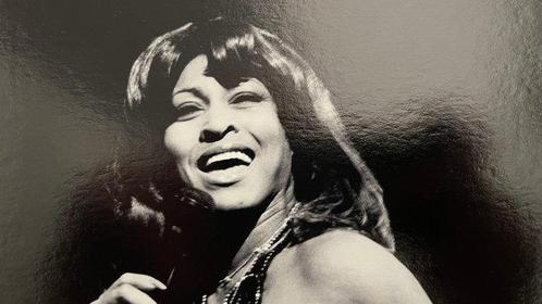 Govert de Roos - Tina Turner, Antiek en Kunst, Kunst | Designobjecten
