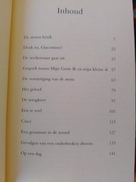 VERNIETIGING VAN DE MENS 9789054020844 L. Pirandello, Boeken, Literatuur, Gelezen, Verzenden