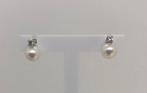 Oorbellen Akoya parels - Witte Goud 18K - 0.08ct. tw., Handtassen en Accessoires, Oorbellen, Nieuw