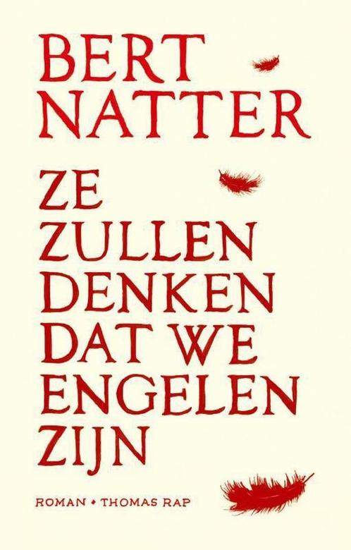 Ze zullen denken dat we engelen zijn 9789400407640, Boeken, Romans, Gelezen, Verzenden