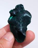 Malachite botryoïdale excellente avec Chantilly - Hauteur :, Collections