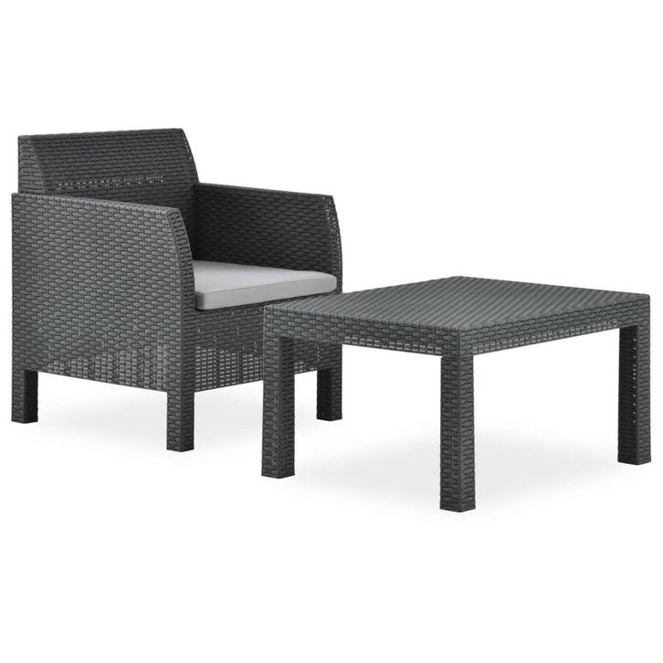 vidaXL 2-delige Loungeset met kussen PP rattan, Tuin en Terras, Tuinsets en Loungesets, Loungeset, Nieuw, Verzenden