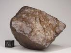 NWA niet-geclassificeerde Sahara Steen meteoriet - 299 g, Verzamelen