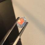 1 pcs Kleurloos Maansteen - 1.82 ct - nternational Colored, Nieuw