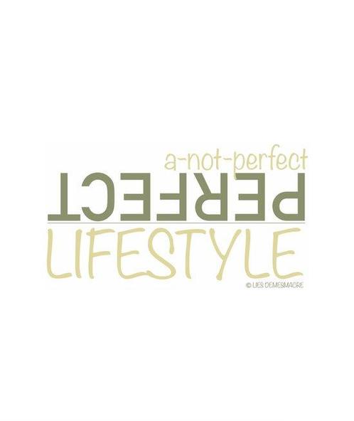 A-not-perfect perfect lifestyle 9789464448474, Boeken, Overige Boeken, Zo goed als nieuw, Verzenden