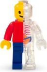 Brick Man - Model - 27580 - Anatomie drôle FAME - 2000-à nos