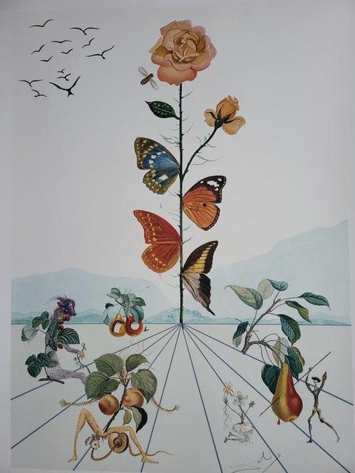 Salvador Dali (1904-1989) - Flordali II: La Rose Papillon, Antiek en Kunst, Antiek | Overige Antiek