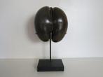 Sea Coconut – Coco de Mer 30x29x16 on custom made stand -, Nieuw