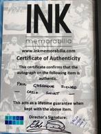 Lazio - Italiaanse voetbal competitie - Paul Gascoigne -, Nieuw