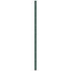 vidaXL Worteldoek 4x50 m polypropeen groen, Tuin en Terras, Verzenden, Nieuw