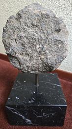 Beeld, Basalten hoofd met marmeren sokkel – Periode Grand