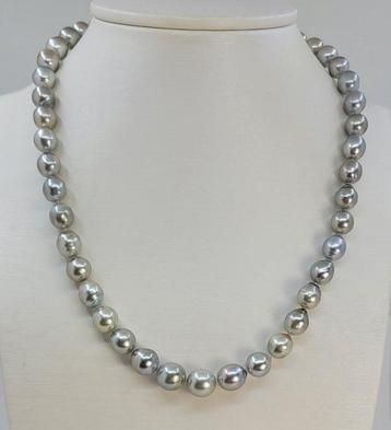 Collier Perles de Tahiti argentées de 8x10,3 mm