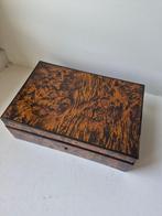Doos - Loep van walnoot, Antiek en Kunst