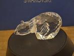 Swarovski - Beeldje - Polar bear - 013747 - Box +