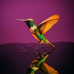 Eric Lespinasse - #1 - Colorful Colibri