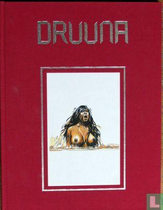 Druuna - 1991, Boeken, Stripverhalen, Zo goed als nieuw, Eén stripboek, Verzenden