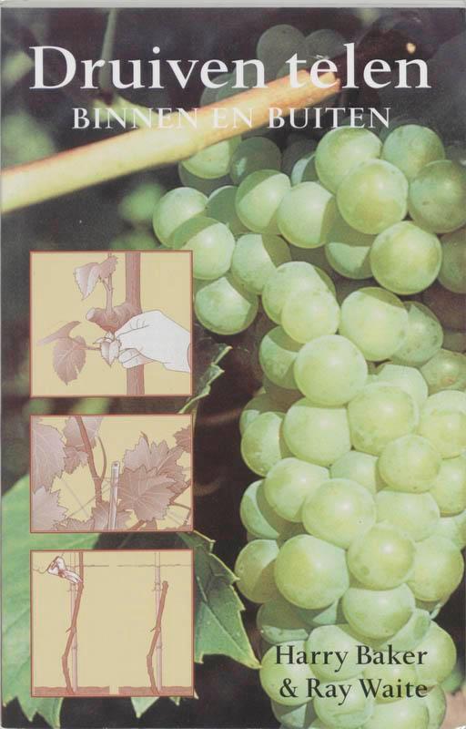 Druiven telen 9789038916811 H. Bakker, Boeken, Hobby en Vrije tijd, Zo goed als nieuw, Verzenden
