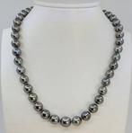Collier Perles tahitiennes certifiées PSL - 8,3 x 11,6 mm, Nieuw