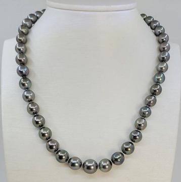 Collier Perles tahitiennes certifiées PSL - 8,3 x 11,6 mm
