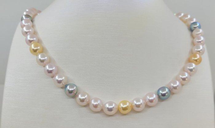 Halsketting 8,5x9 mm Multi Akoya- en gouden parels, Zilver, Handtassen en Accessoires, Kettingen