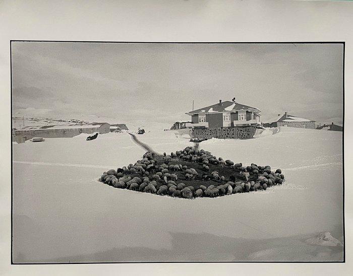 Matthieu Chazal (1974 – 2024) - Aux environs d’Ardahan, Antiquités & Art, Art | Objets design