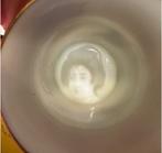 kutani - Theeservies (21) - Porselein - Japans thee servies, Antiek en Kunst